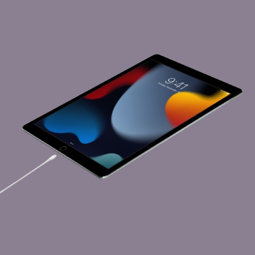 USB-C to Lightning Cable (1 m)